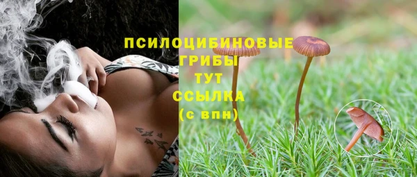 дживик Волоколамск